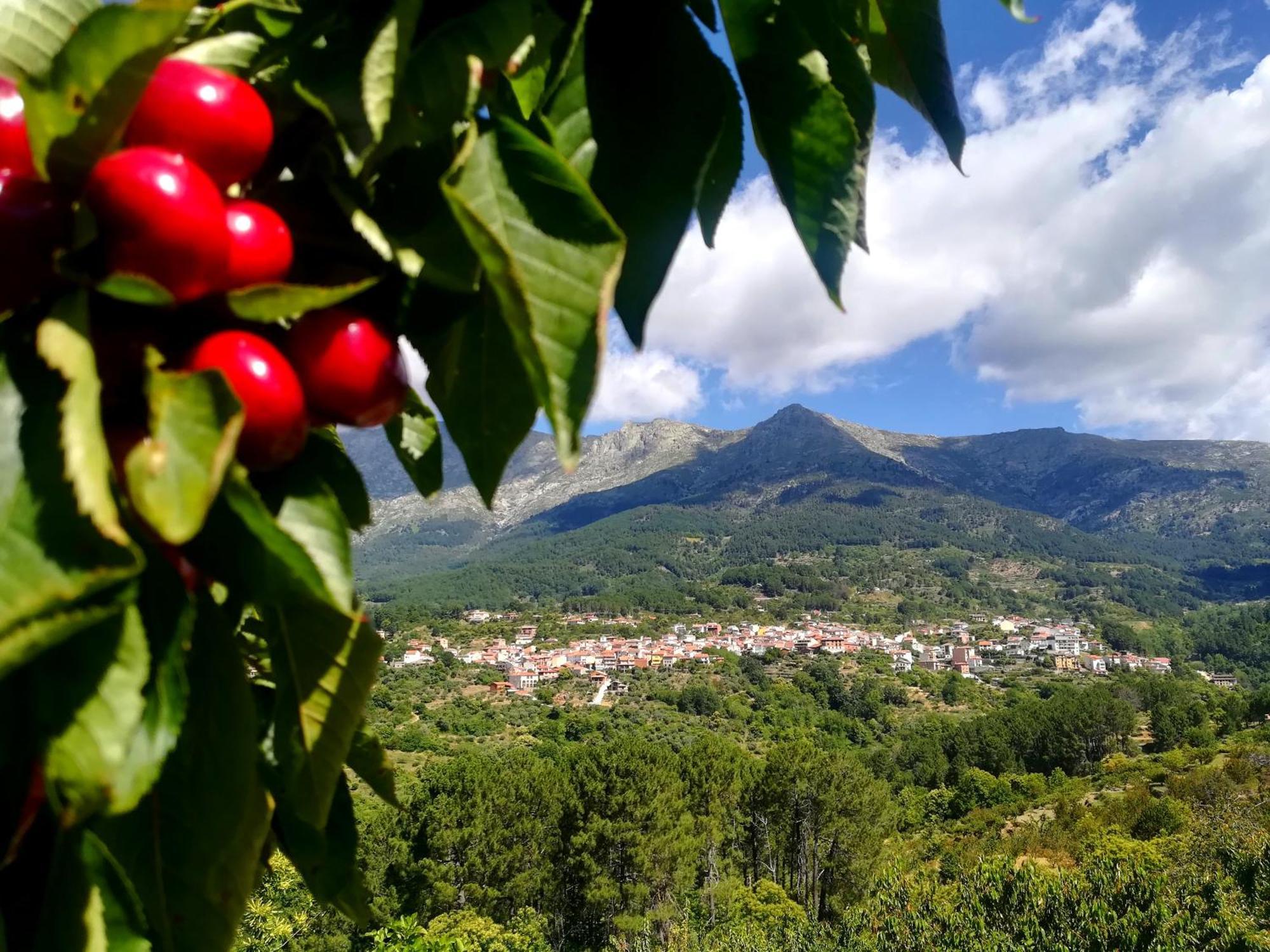 La Albarea By #Cherrygredos エル・アレナル エクステリア 写真