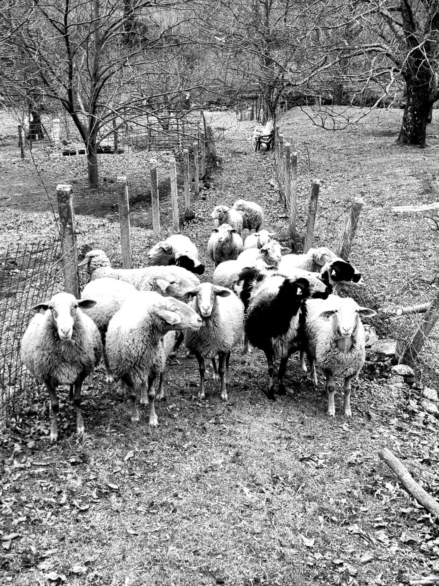 La Albarea By #Cherrygredos エル・アレナル エクステリア 写真